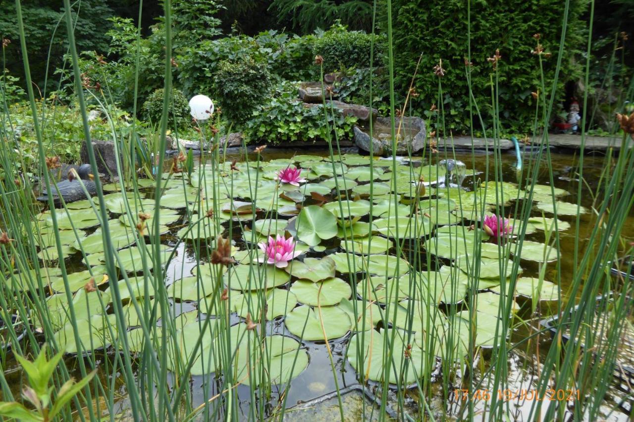 Habichtstal Lejlighed